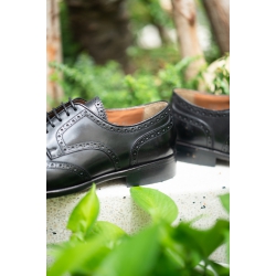 Wingtip Brogues Derby 5