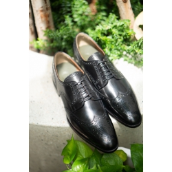 Wingtip Brogues Derby 2